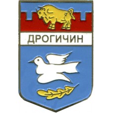 Дрогичин